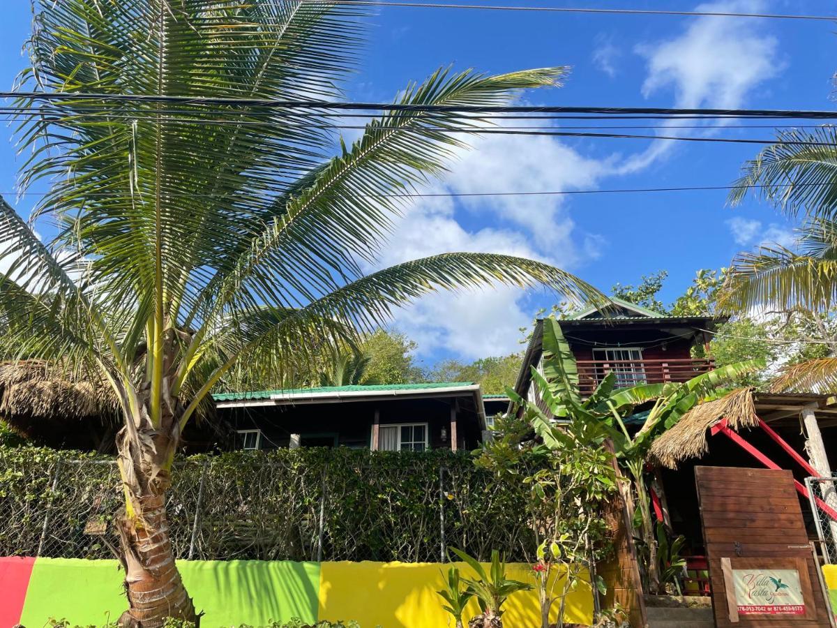 Villa Rasta - Ocean View Bungalows ปอร์ตอันโตนิโอ ภายนอก รูปภาพ